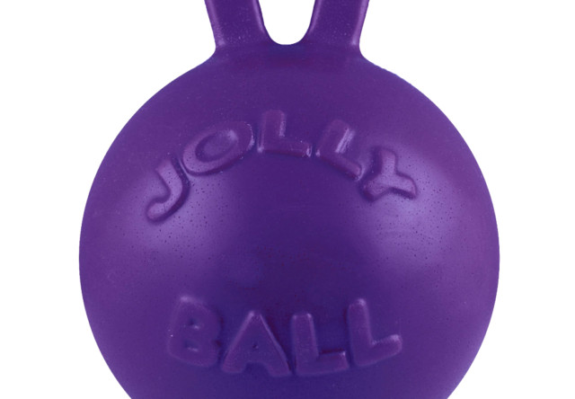 Jolly Pets Tug-n-Toss Heavy Duty Ball with Handle 8 Inches Purple Large Dog Toy