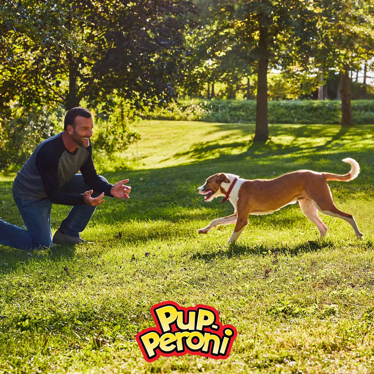 2 PACK – Pup-Peroni Dog Snacks Original Beef Flavor dog treats (46 oz.)
