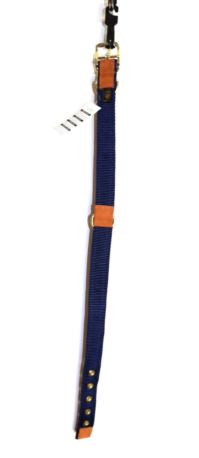ZEP-PRO Brown Leather Blue Trim Fish Dog Collar 1-1/4″ Thick 26-1/2″ Long USA