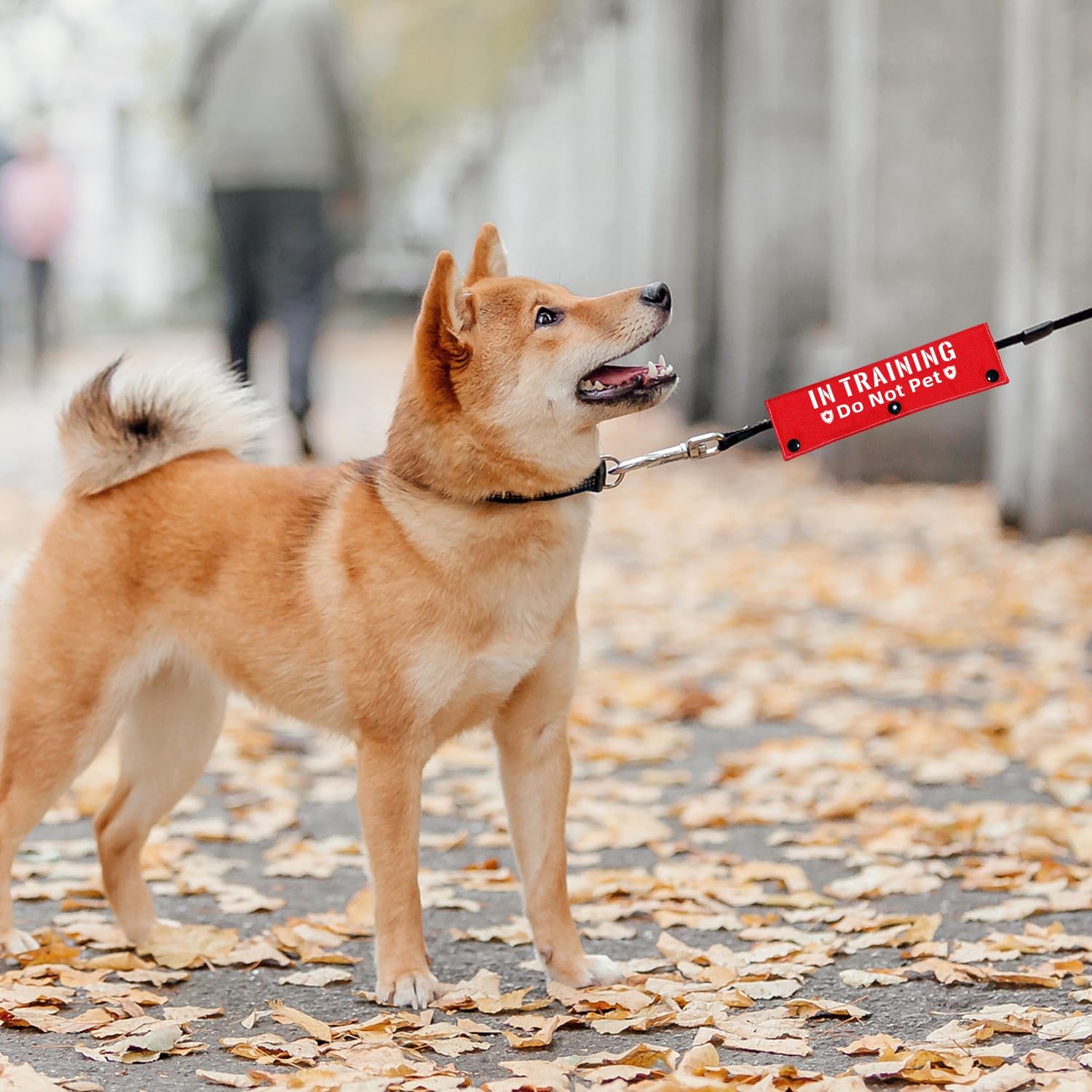 Advivio in Training Do Not Pet Funny Red Dog Leash Sleeve – 8.7 inches,