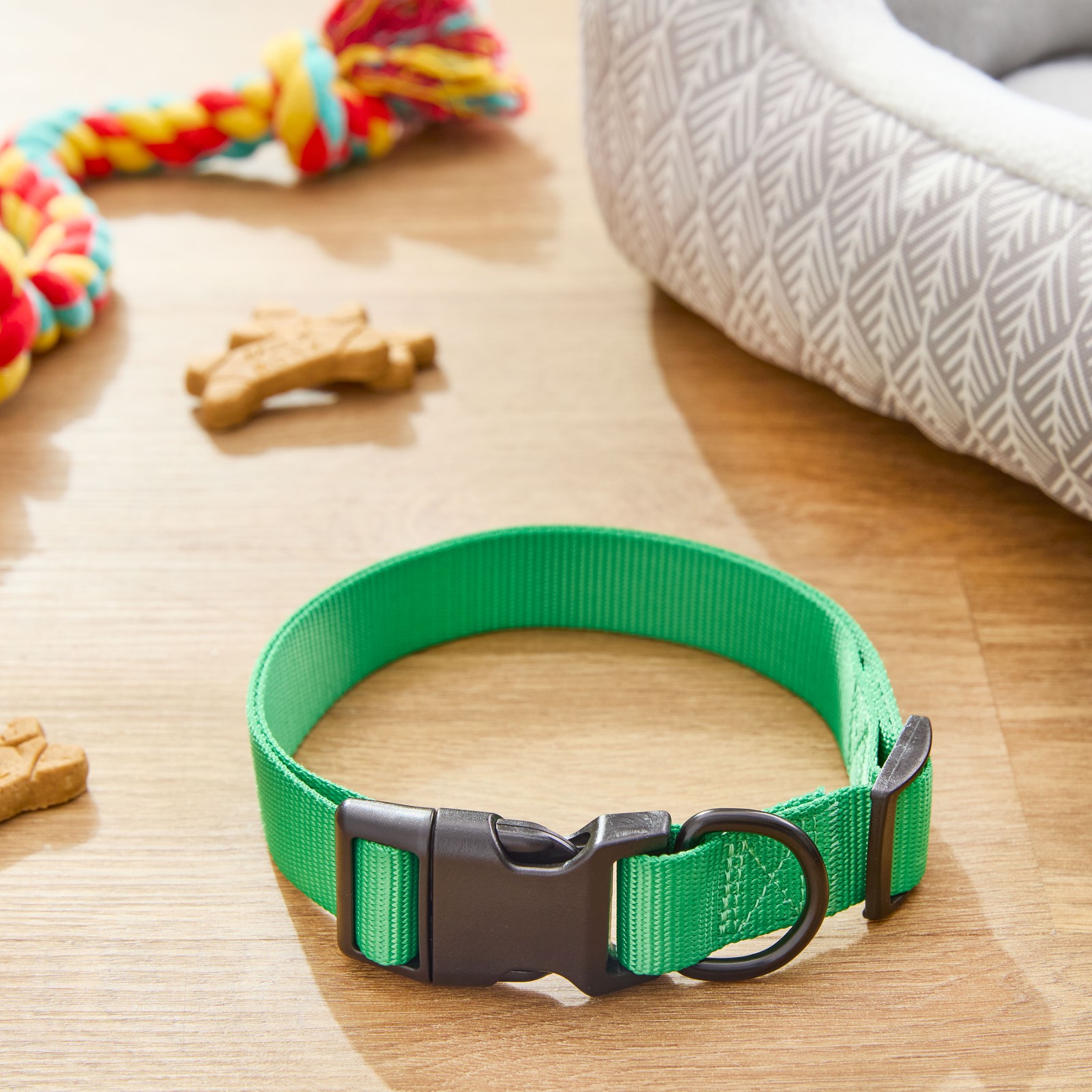 Vibrant Life Polyester Adjustable Dog Collar, Green, S