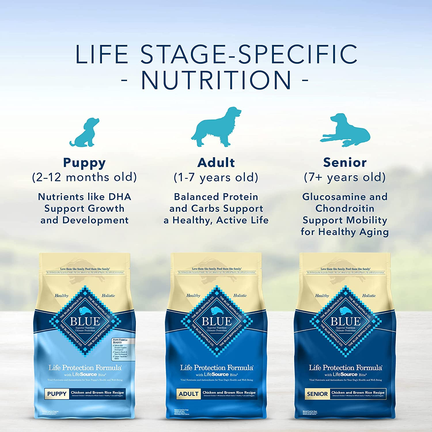 Blue Buffalo Life Protection Formula Natural Adult Dry Dog Food, Chicken and Bro