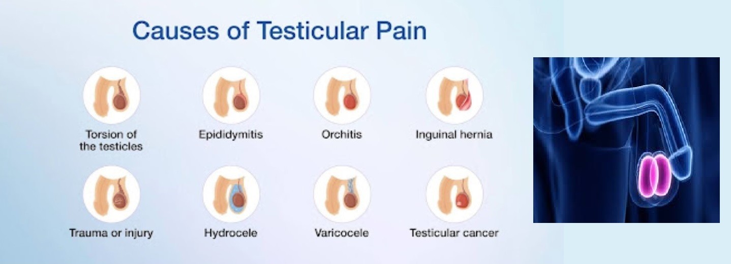 POWERFUL NATURAL TESTICULAR PAIN CREAM FOR MEN – 100% HERBAL – MADE IN USA