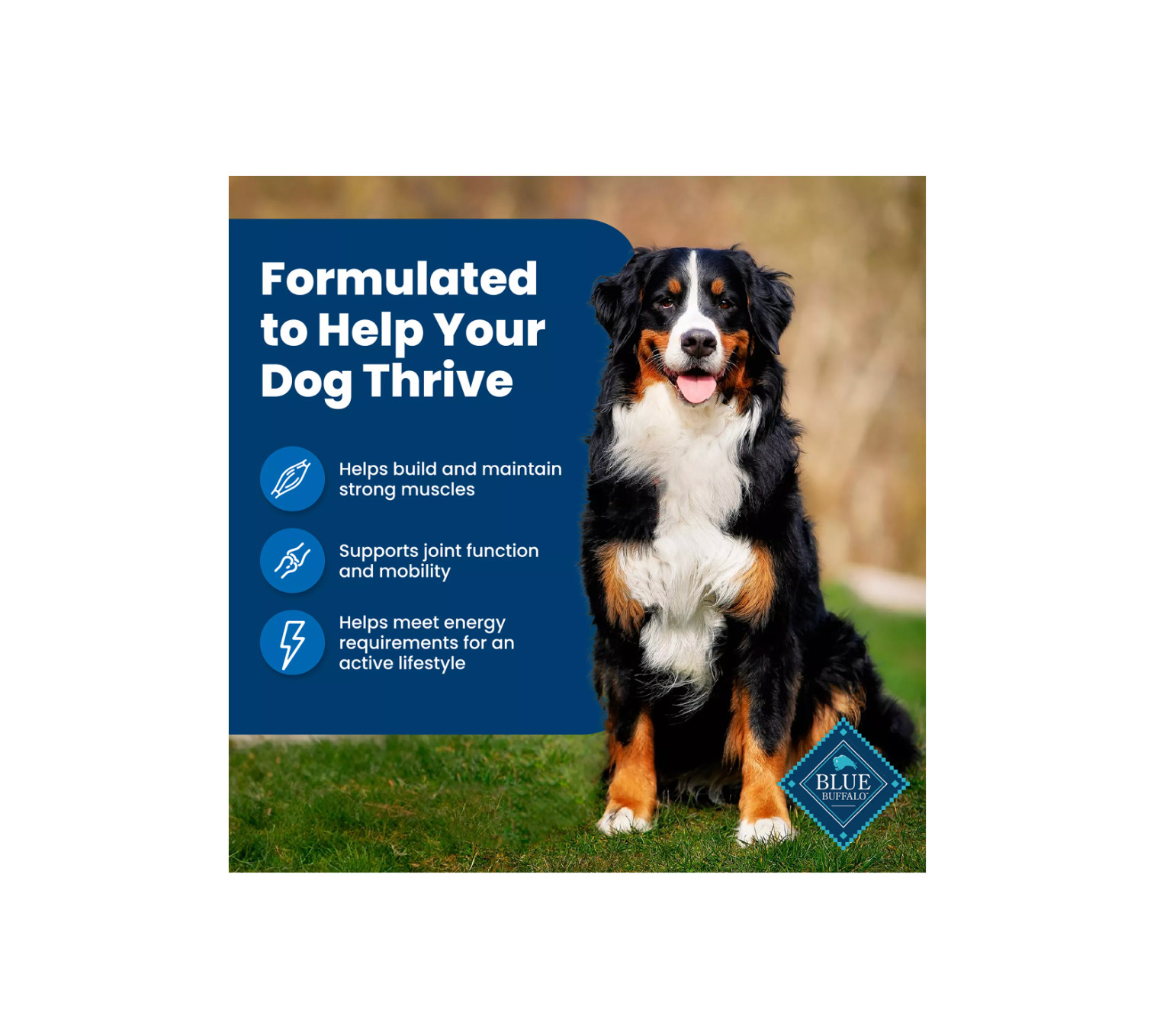 Blue Buffalo Life Protection Formula Adult Dog Food Chicken & Brown Rice 30lb