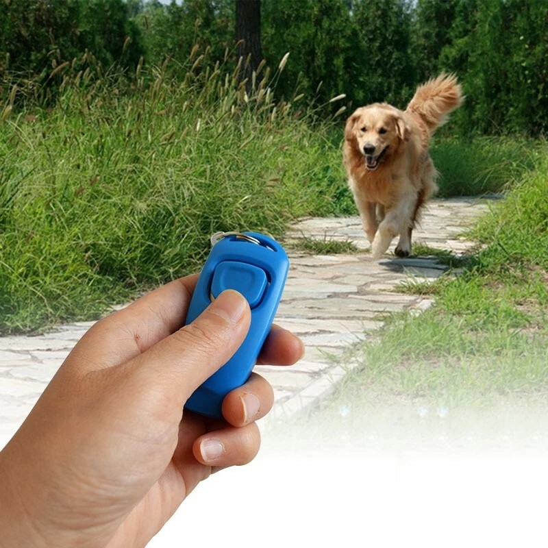 Hot 2 In 1 Cute Shape Dog Whistle Clicker Pet Dog Trainer Aid Guide With Key