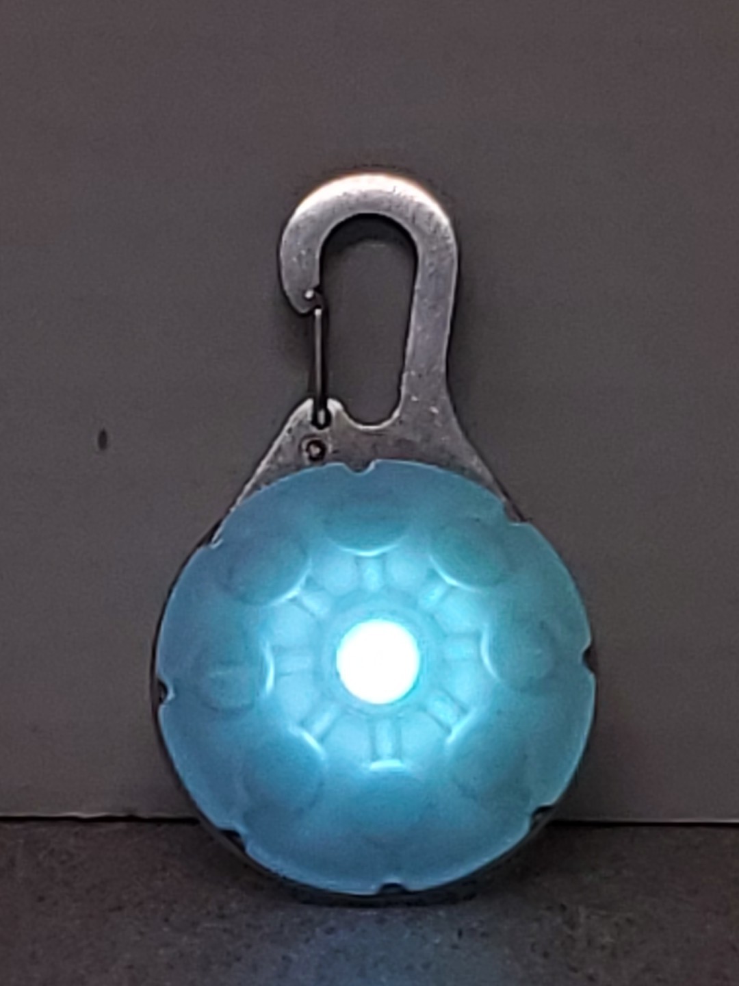 LED Dog Collar Light Clip On for Pet Safety