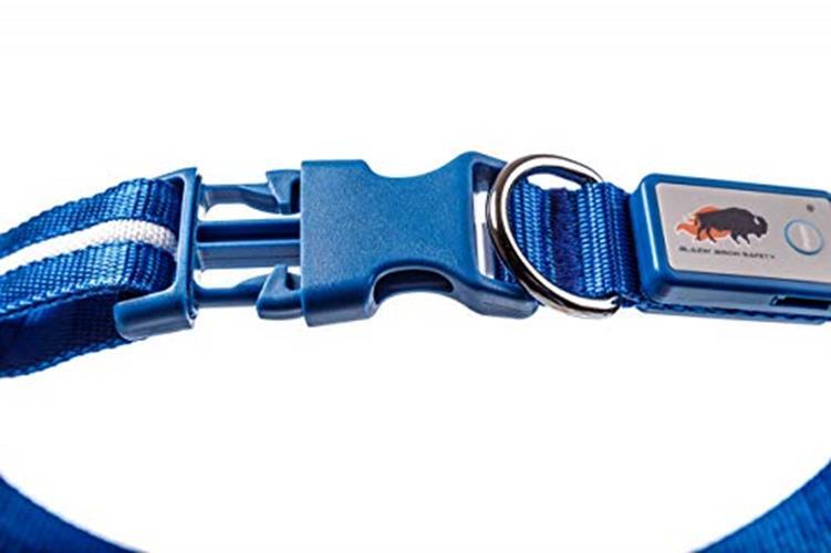 BLAZIN Brightest Light Up Dog Collars – The Original Assorted Sizes , Colors