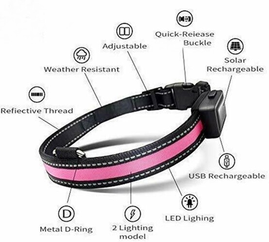 Nylon Dog Collar LED Solar Charging & USB Rechargeable Safety Glow 2 Light Modes