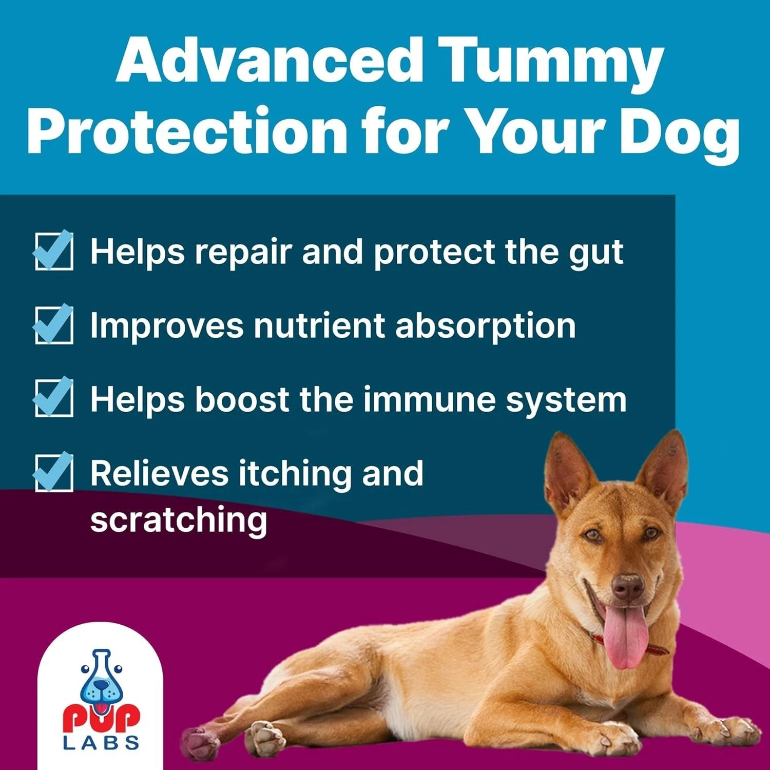 K9 Belly Bliss, All-Natural Gut Health for Dogs, Vet Approved EXP 2027