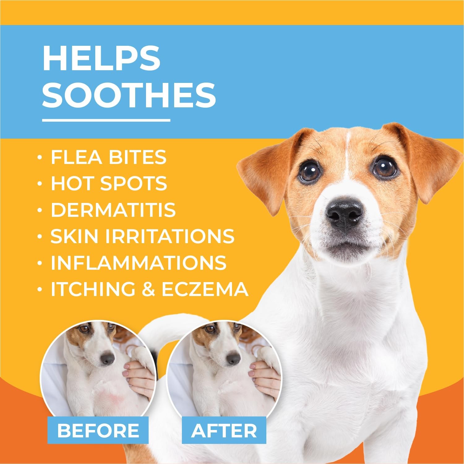 AntiItch Hydrocortisone Moisturizing Lotion for Dogs & Cats – Hot Spot Treatm…