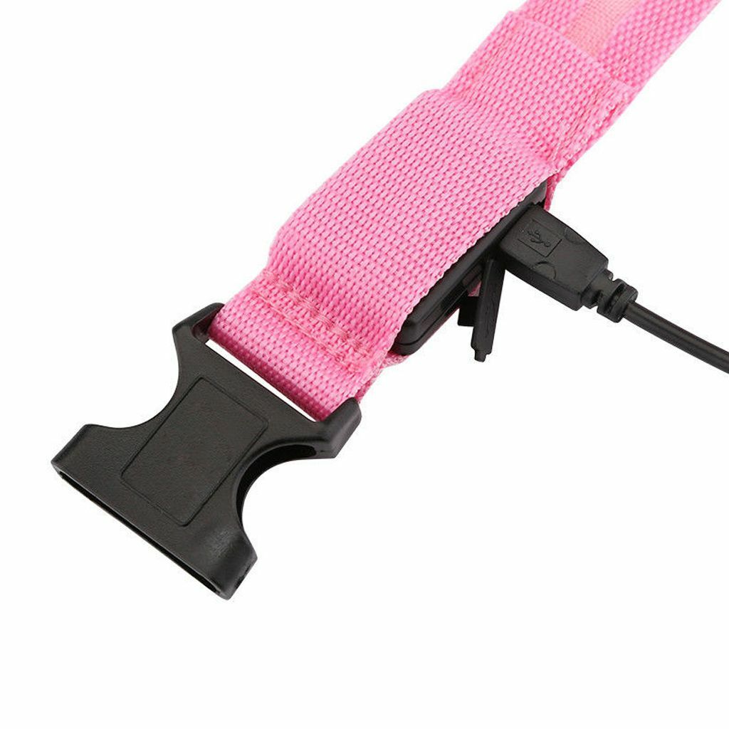 USB Rechargeable LED Dog Light Up Safety Collar Night Glow Adjustable Bright USA