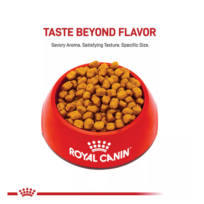 New w/ Royal Canin Shih Tzu Adult Dry Dog Food 10 lb Chicken Skin & Coat Formula