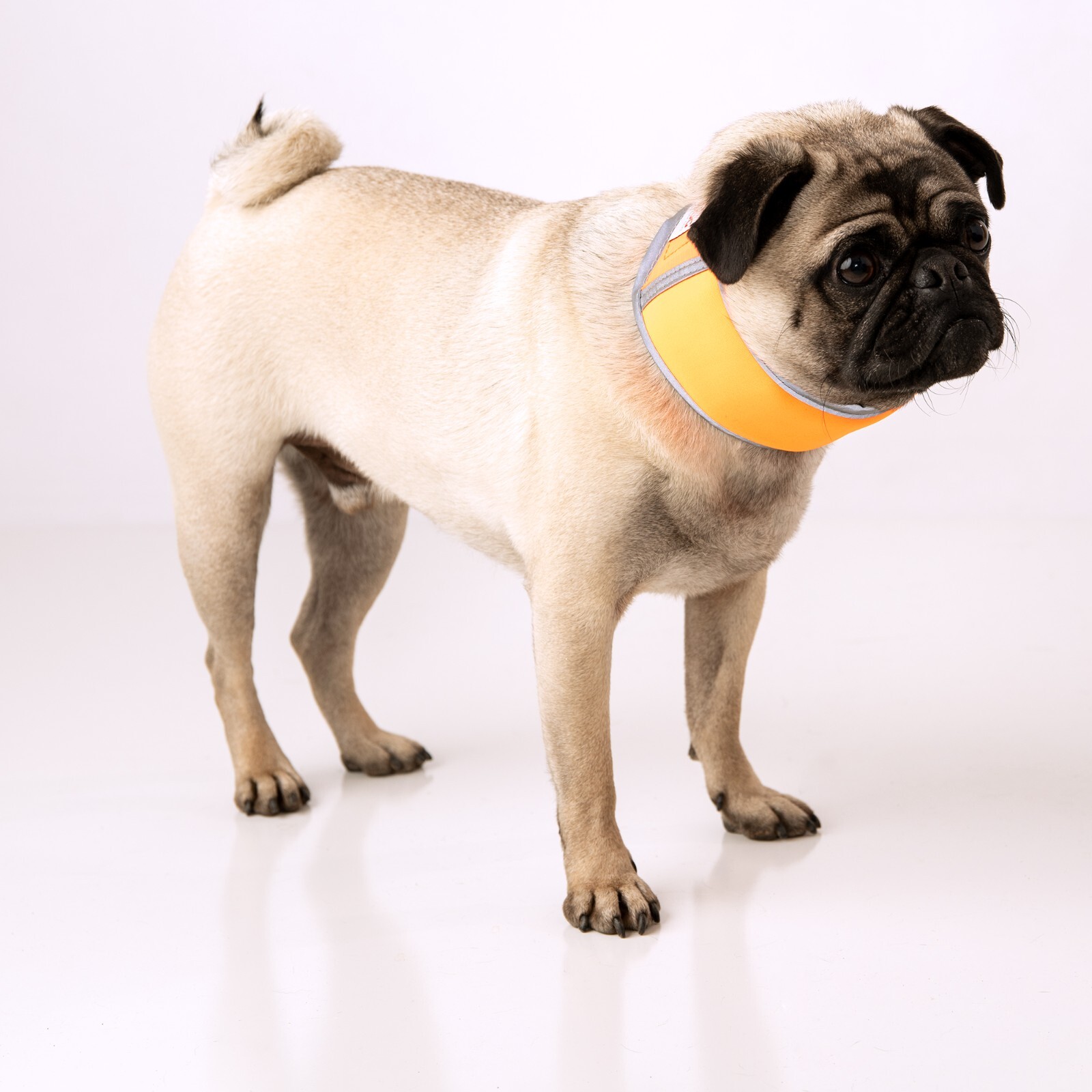 CoolerDog High-Vis Cooling Collar – Reflective Orange