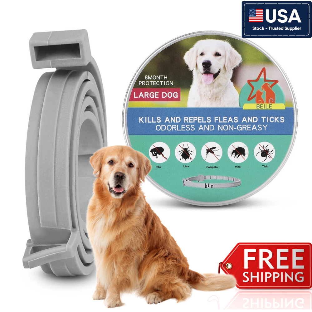 Dog colar Flea and Tick Treatment Waterproof 8 Months Protections