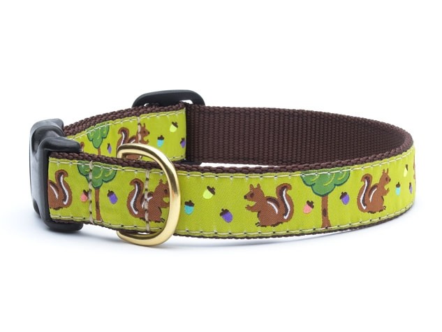Up Country Dog Collar Nuts and Squirrels Adjustable Made In USA XS S M L XL XXL