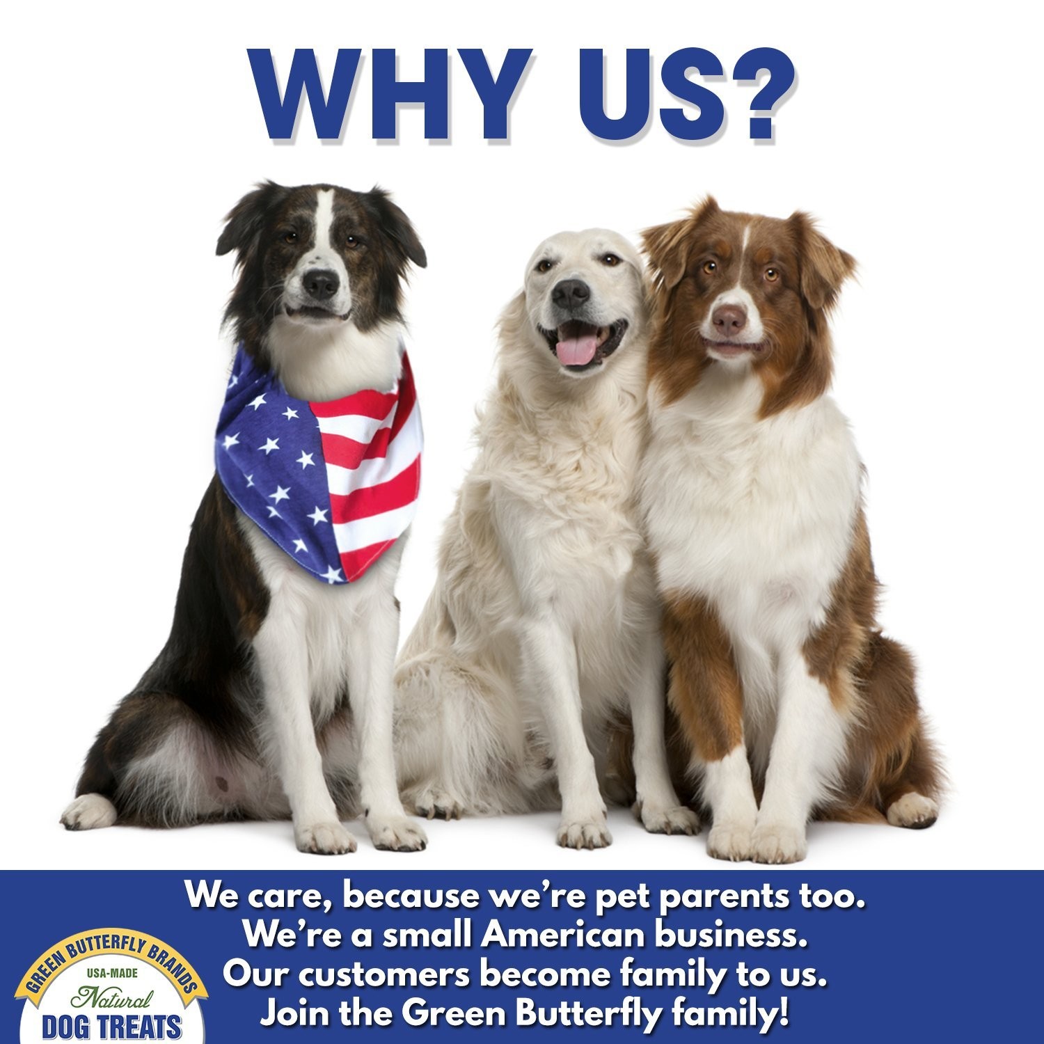 Beef Dog Treats – Made in USA Only – All Natural, Meaty Beef Tips – Premium, …