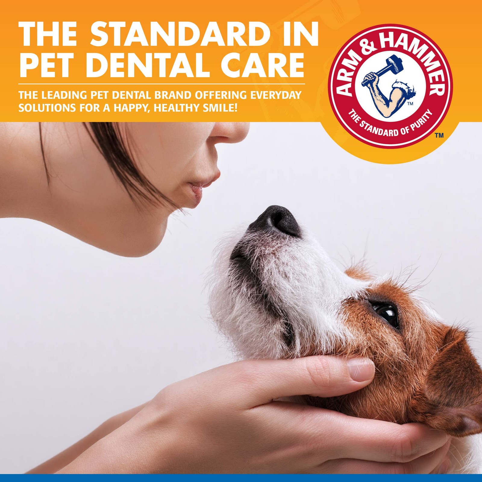 Arm & Hammer Dog Water Additive for Dental Care – Bad 16 Fl Oz (Pack of 1)