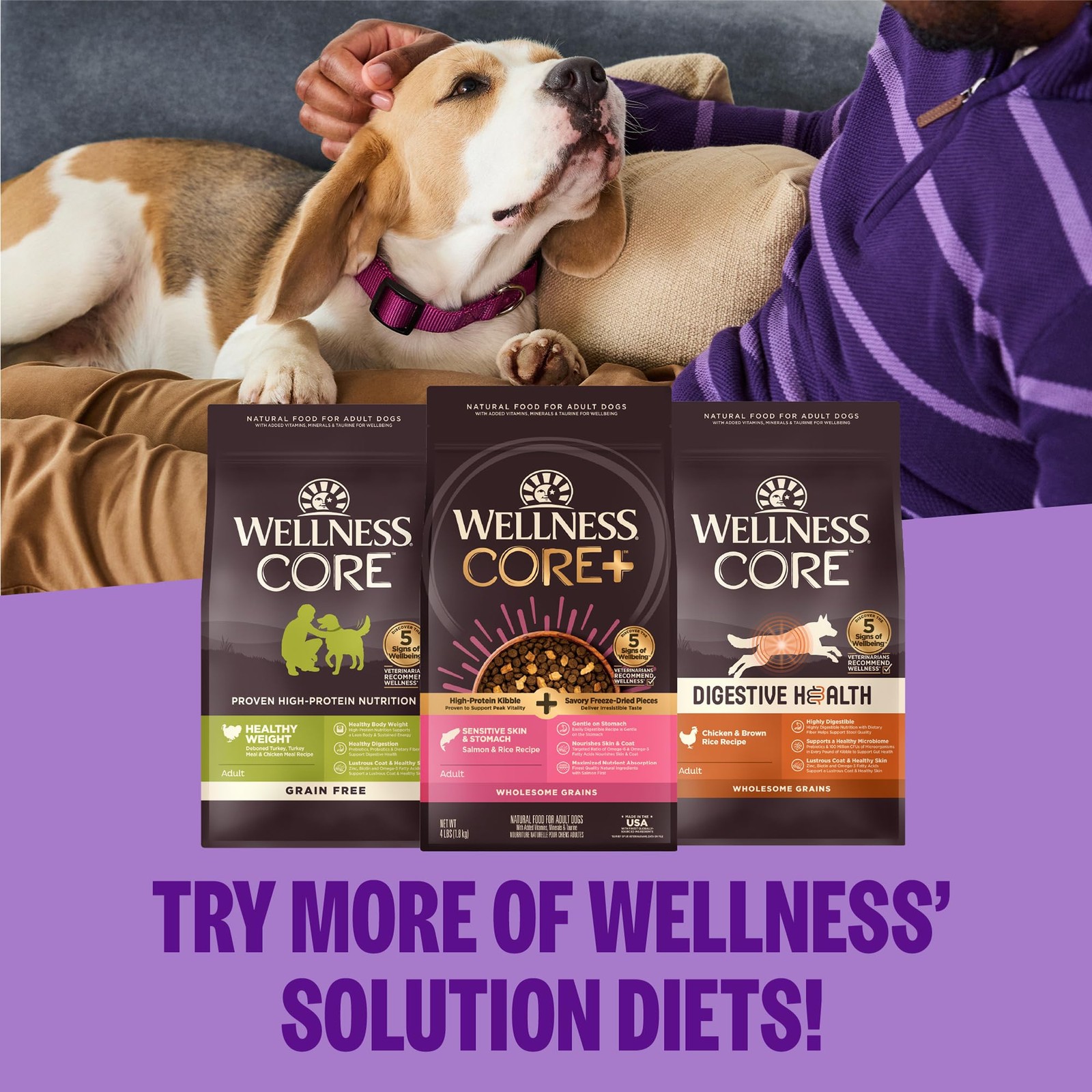Wellness CORE Healthy Weight 4 Pound (Pack of 1), Small Breed