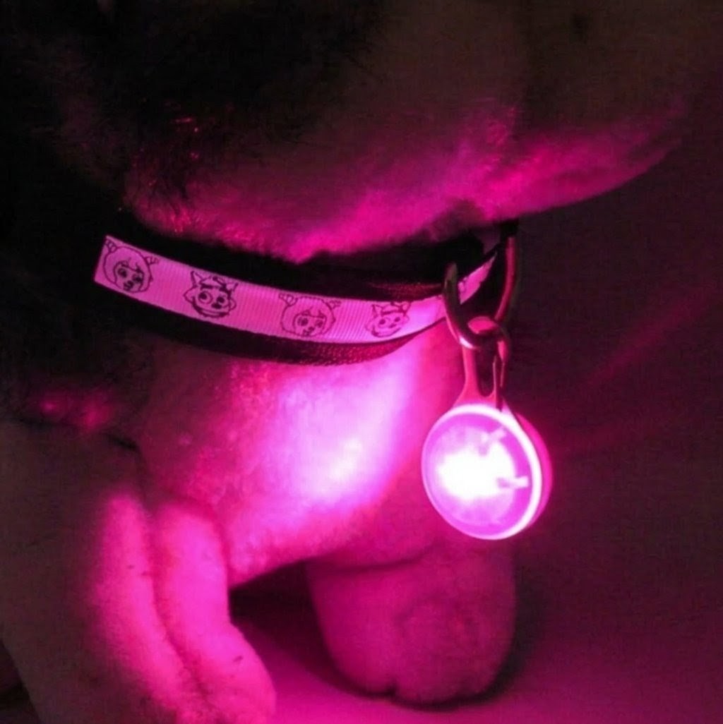 1pcs Pet Collar Pendant LED dog collar Night light pendant security luminous