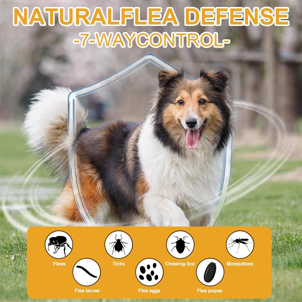 Natural Flea & Tick Prevention Chewable Tablets for Dogs,150 Chews Bacon Flavor