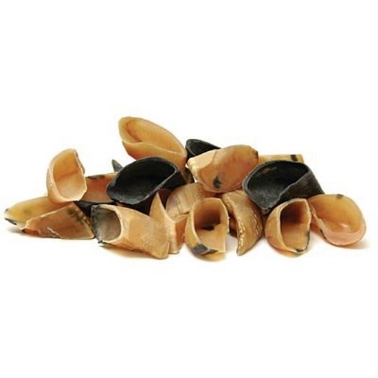 FRESH Natural Cow Hooves Bulk Dog Treats Chews Dental USA Beef Hoof Red Barn