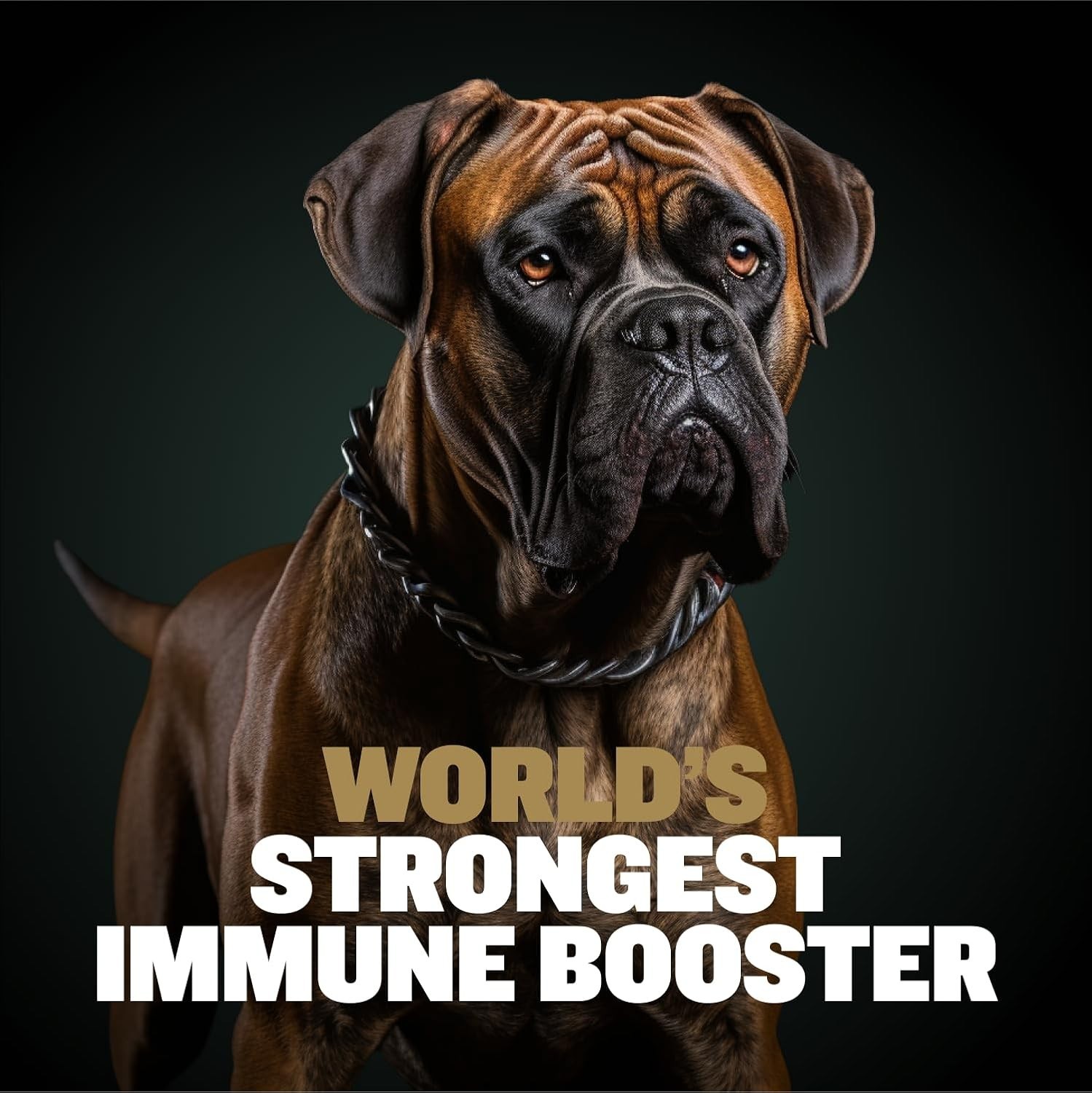 Bully Max 11-in-1 Dog Muscle Builder Power Chews – High Protein Muscle Gain…..