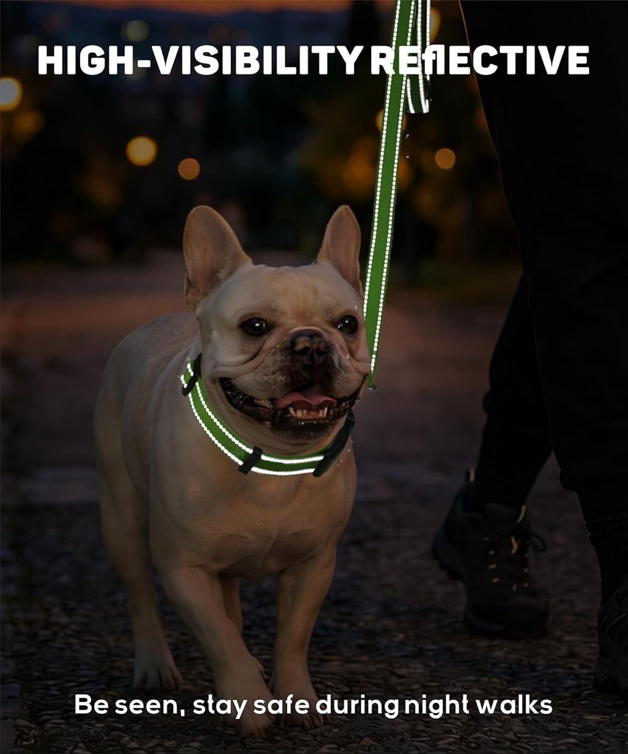 High-Visibility Reflective Dog Collar for Medium Breeds – Soft Nylon & Stylish