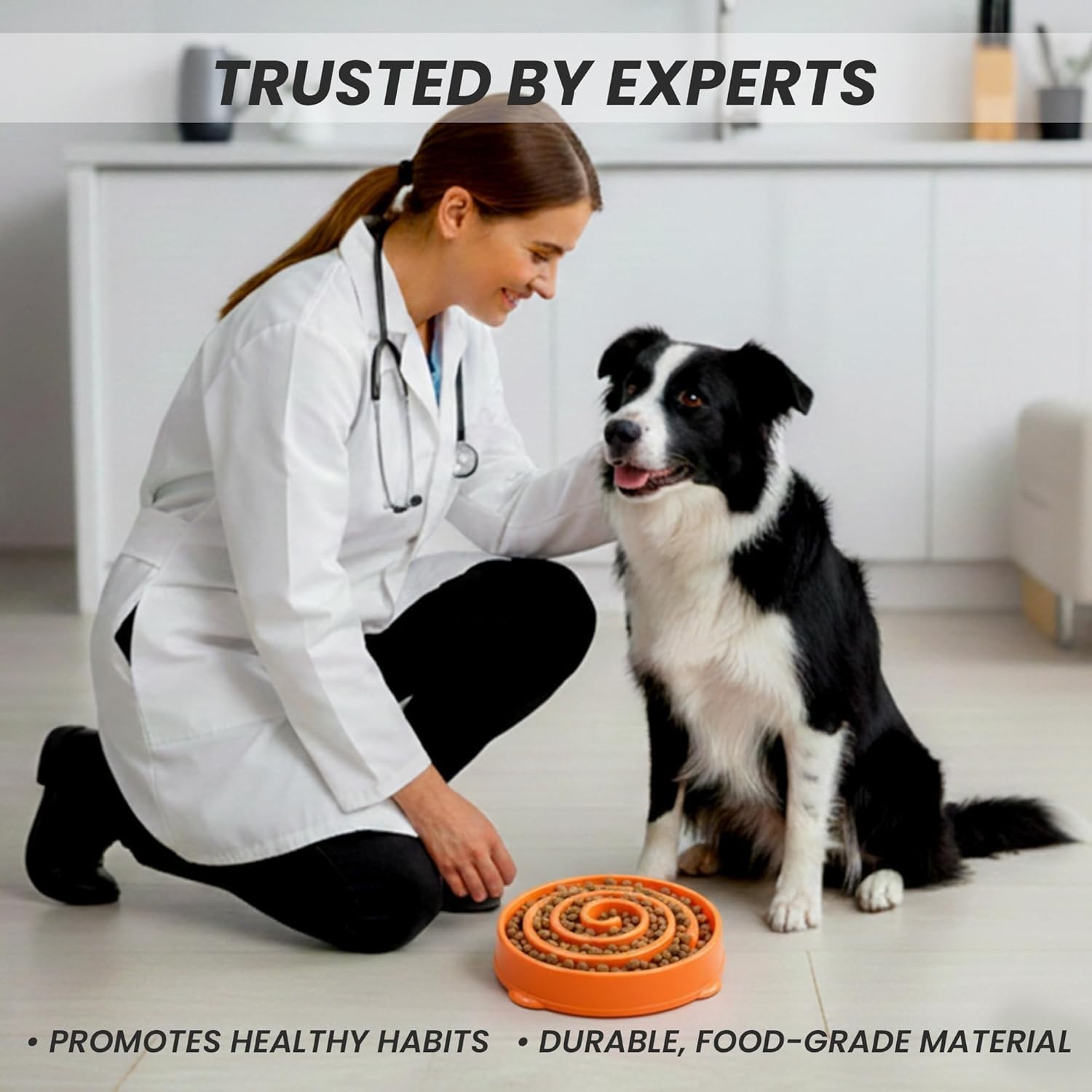 Slow Feeder Dogs Bowl for Large Dogs Anti-Gulping Pet Slower Food Feeding Bowl