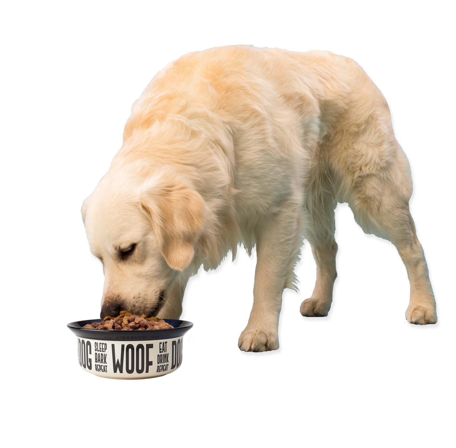 Dishwasher Safe Two-Tone Stoneware Dog Bowl 4-Cup for Medium and Large Pets