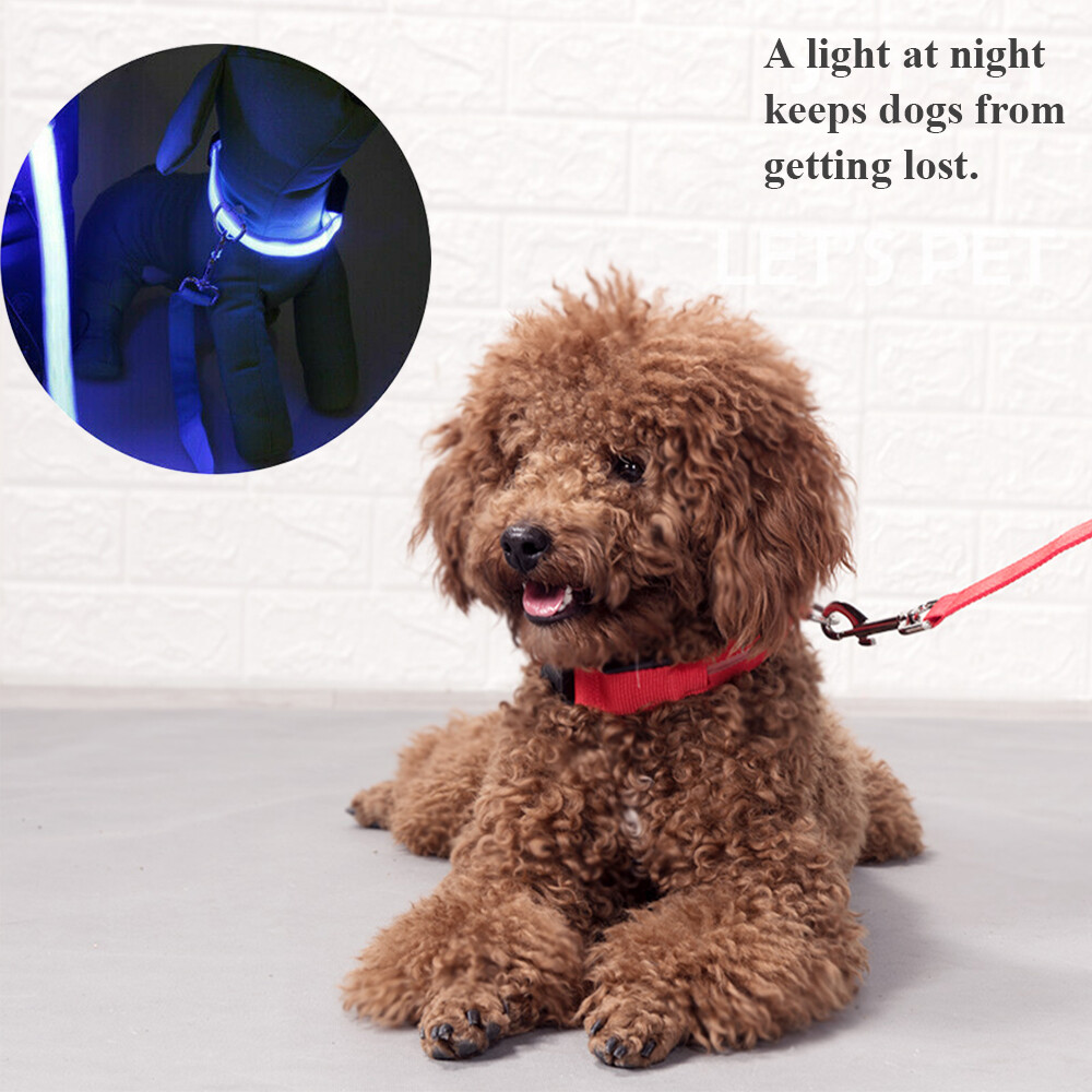 Safety Pet Dog LED Collar Night Flashing Light Up Adjustable Waterproof S-XL