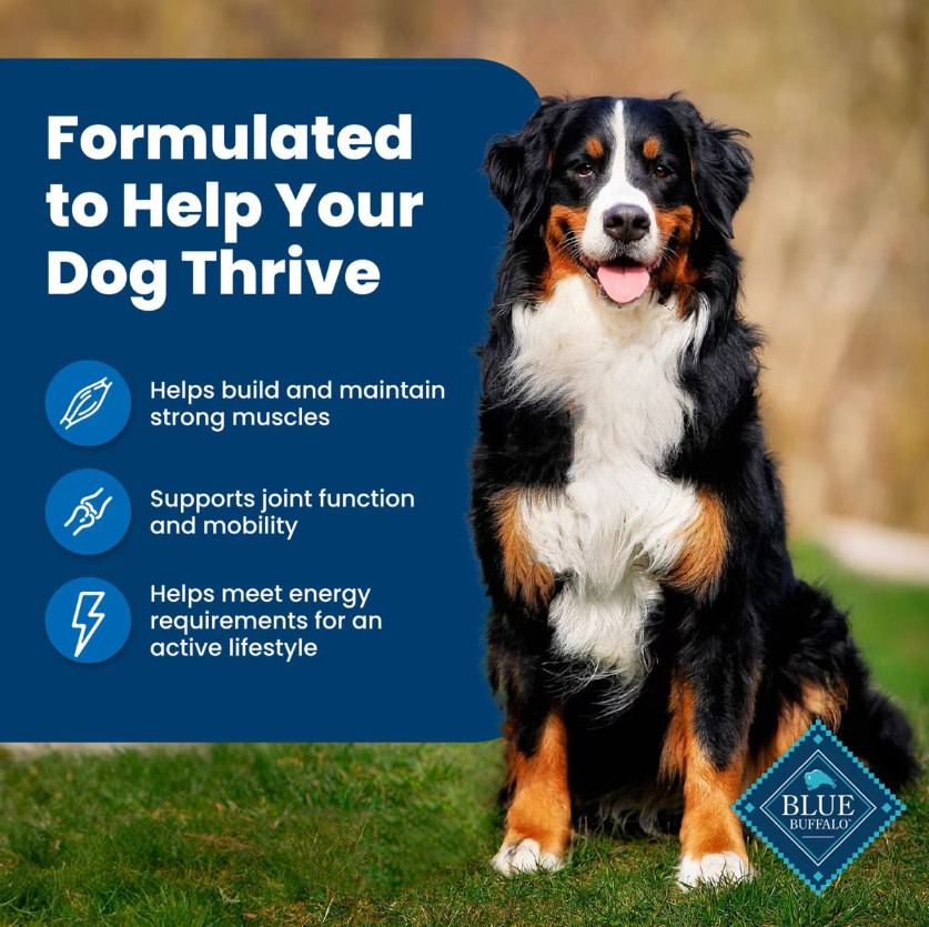 Blue Buffalo Life Protection Formula Adult Chicken & Rice Dry Dog Food, 30 lb