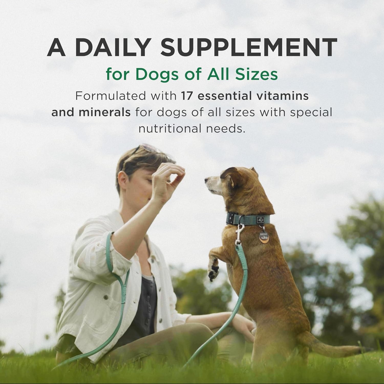 Multivitamin and Mineral Supplement for Dogs, Chewable Tablet, 60 Count Bottle