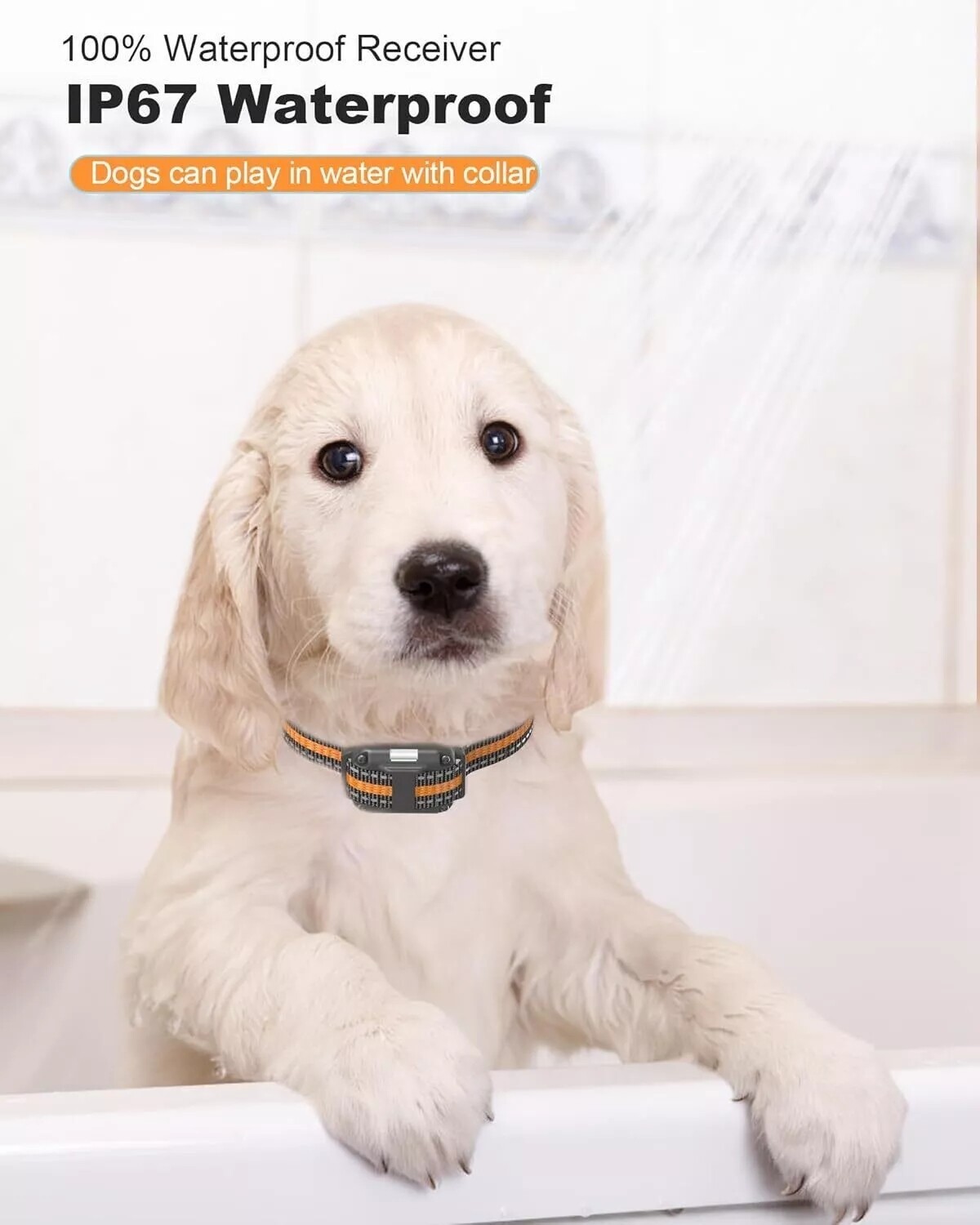 3000 FT Dog Training US Collar Rechargeable Remote Shock PET Waterproof Trainer