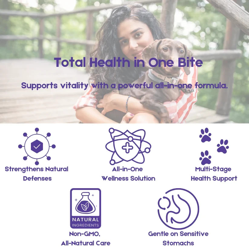 Noora 8-in-1 Dog Supplement Chews for Joints Heart Immune Skin Digestive Health