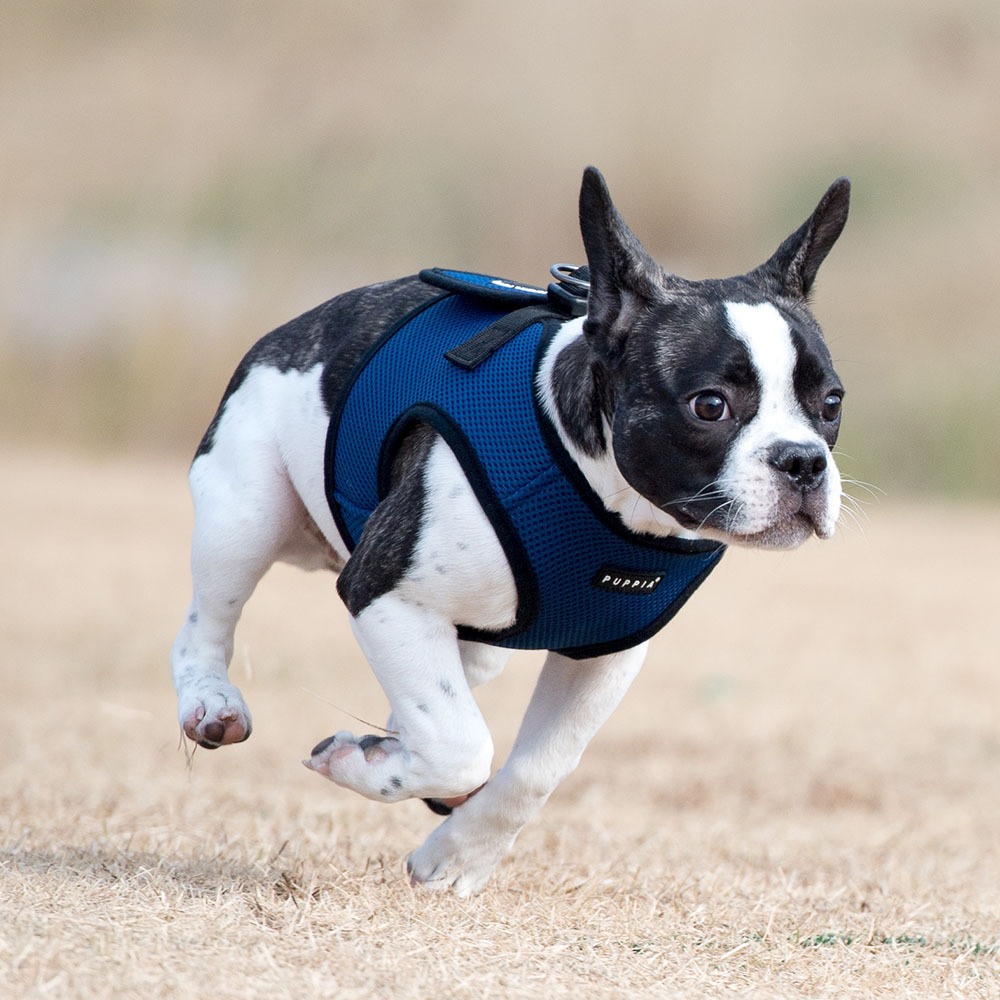 Puppia® Soft Vest Harness [PAHA-AH305] – 15 Colors / 7 Sizes
