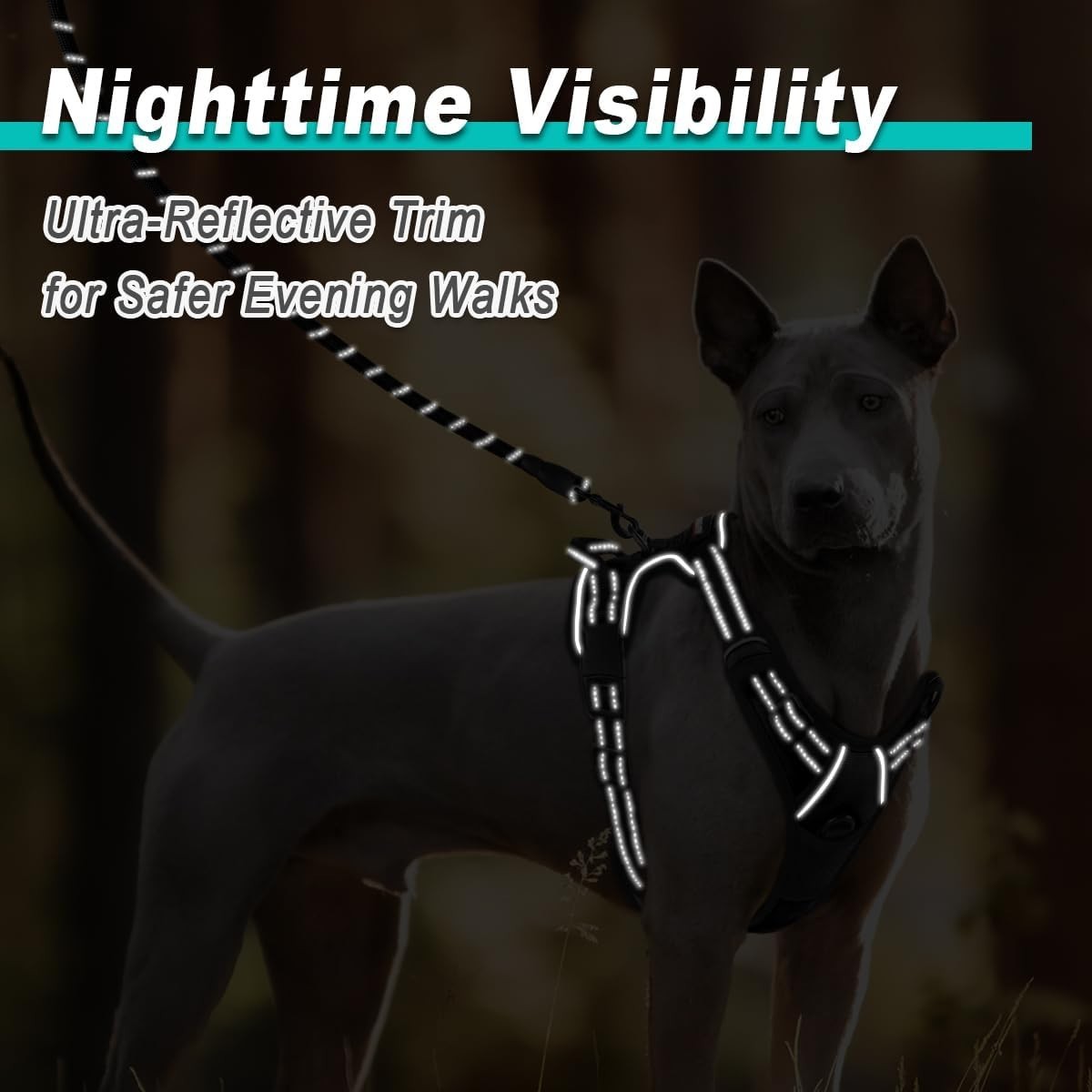 BARKBAY Dog Harness No Pull for Small Dogs – Adjustable, Reflective, Xtra Small