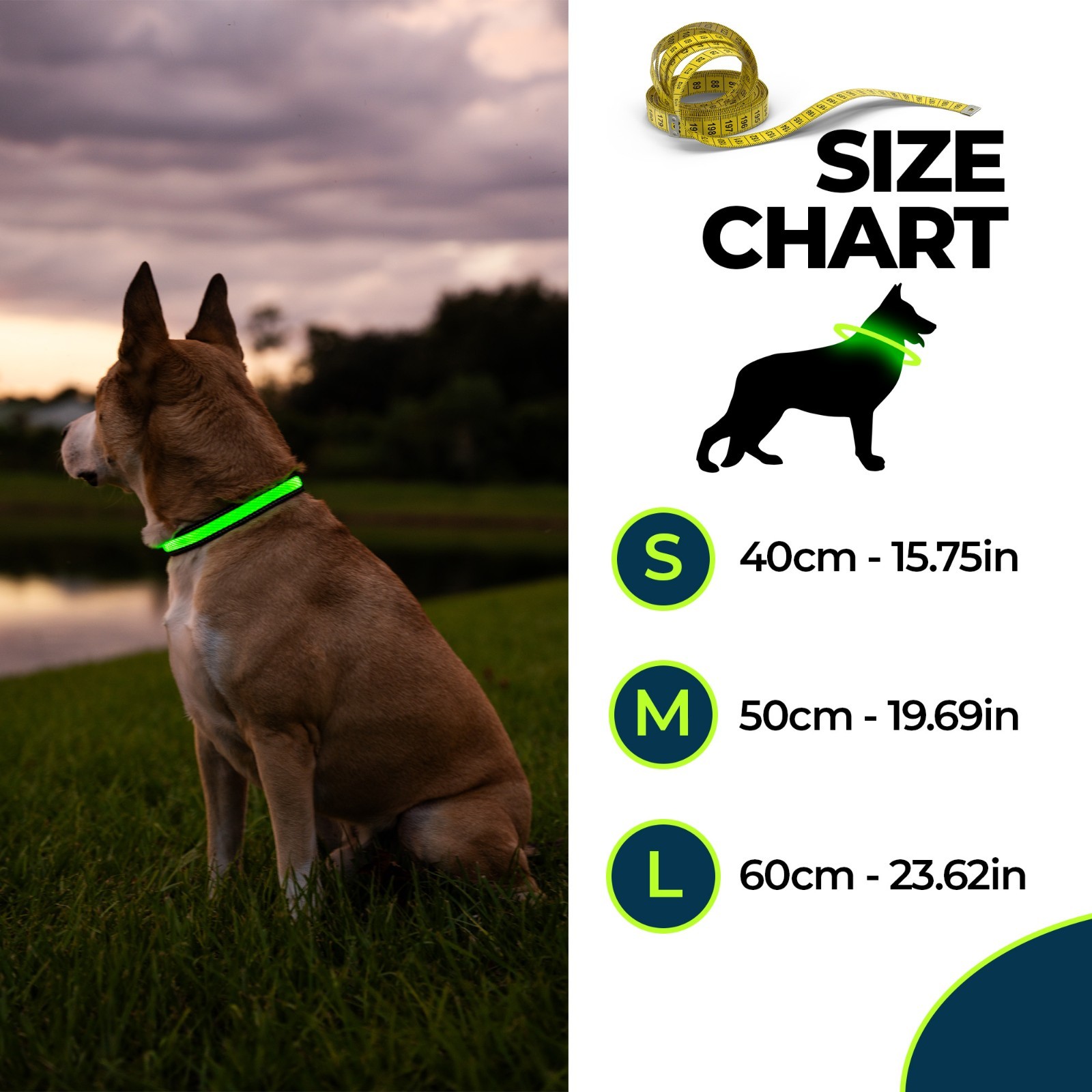 Balk Pets Led Dog Collar High Visibility Glow in The Dark Anti Car Accident Nigh