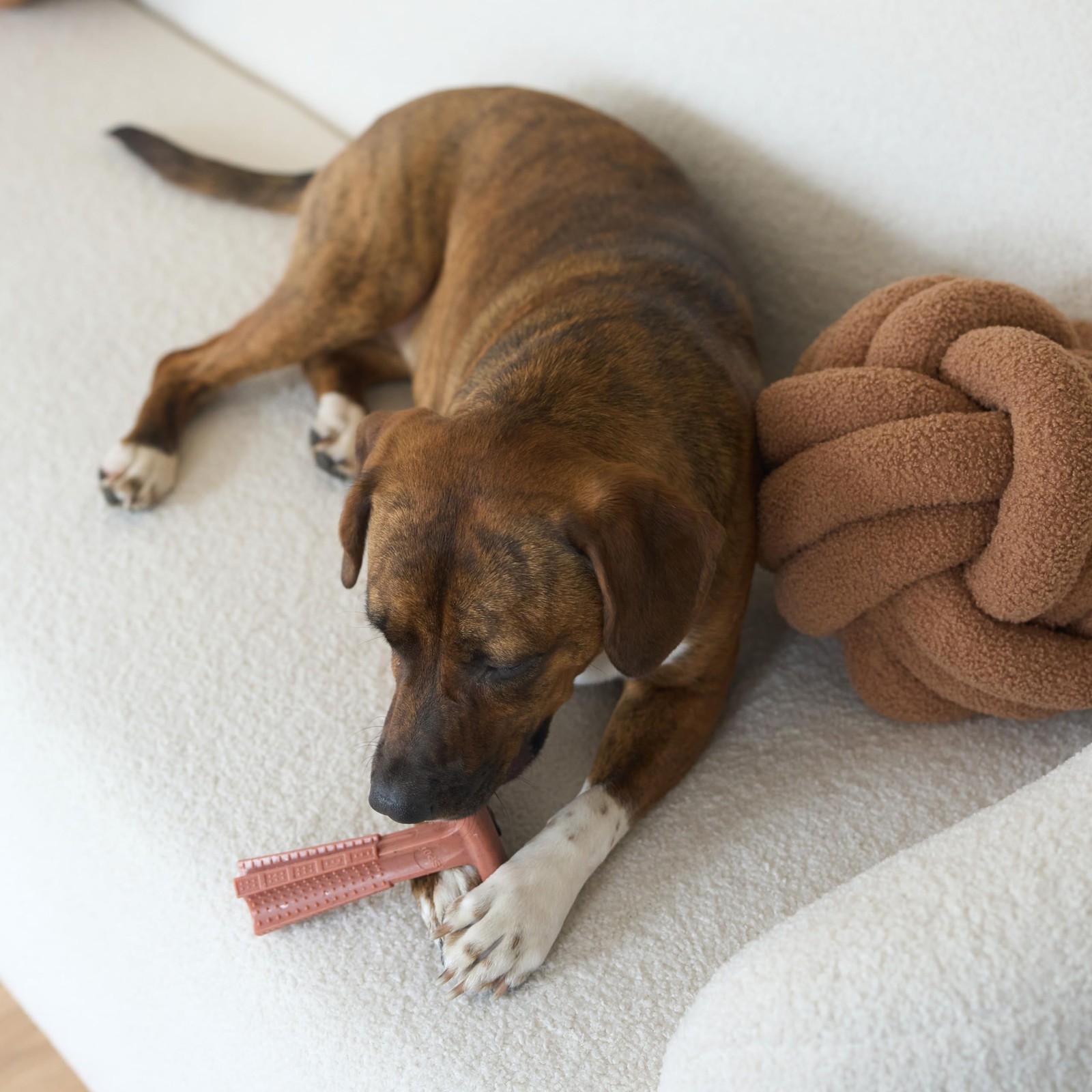 Durable T Bone Chew Toy For Aggressive Chewers Promotes Dental Health 7X5 Inch