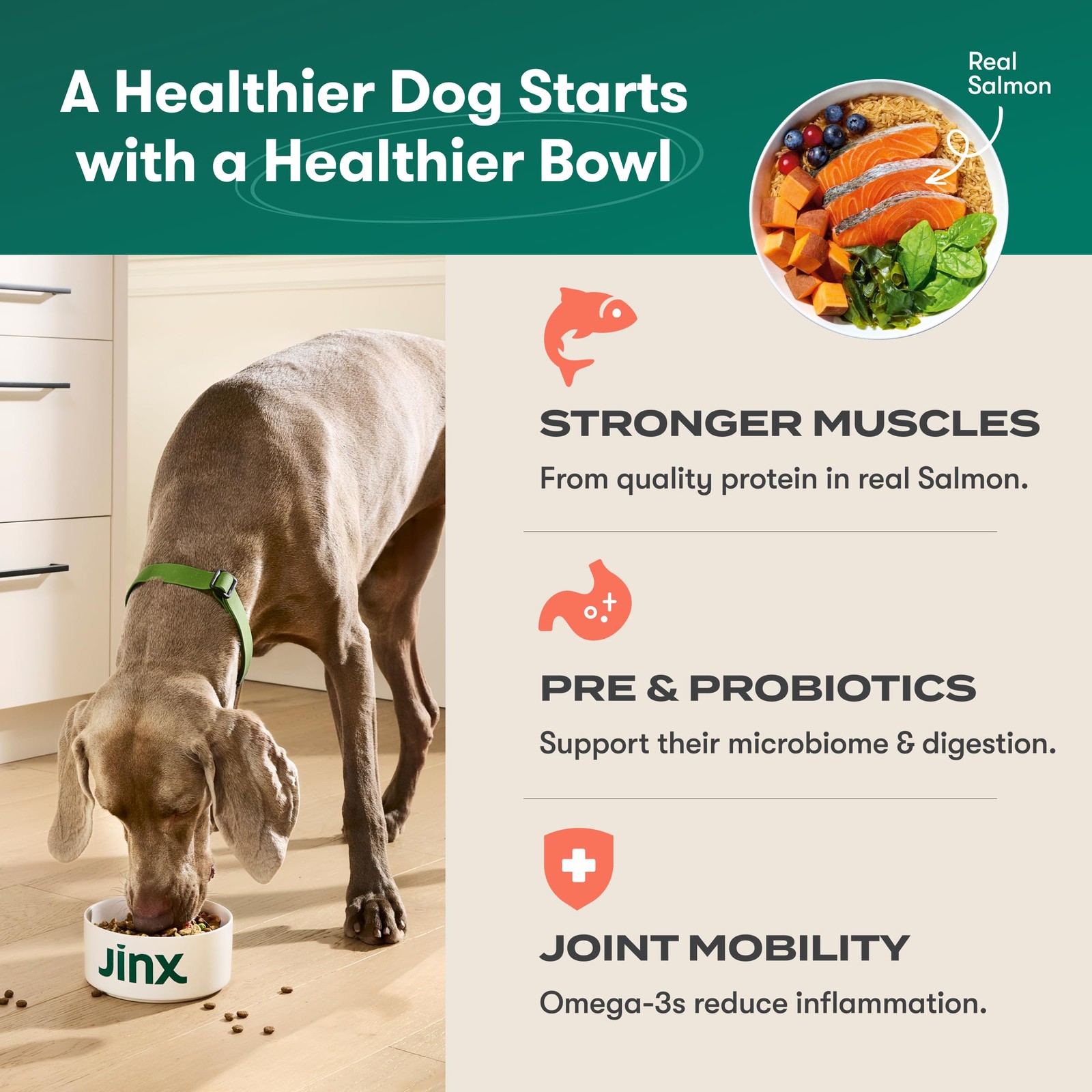 Jinx Premium Dry Dog Food, for All Life-Stages – Real 4 Pound (Pack of 1)