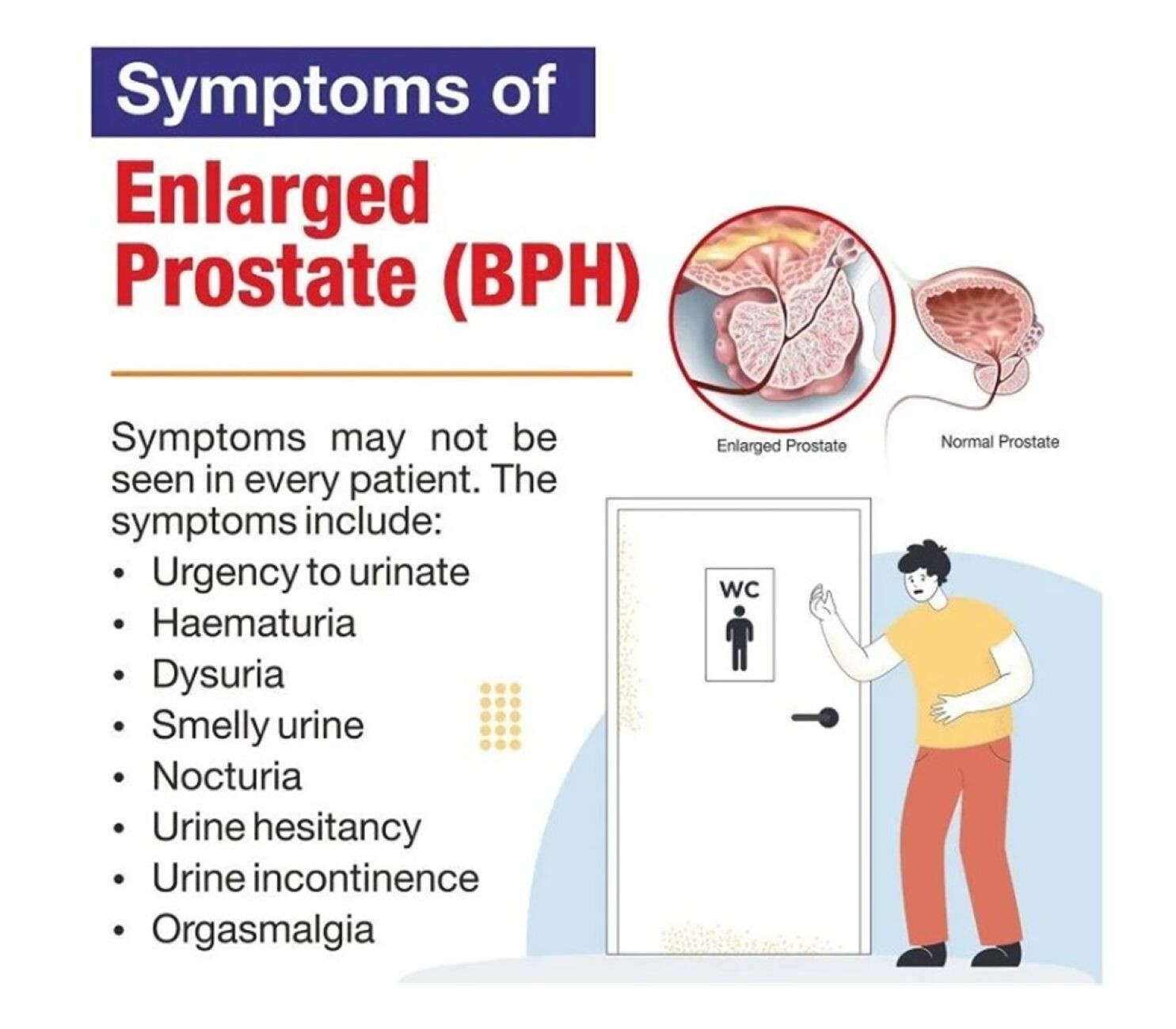 100% STRONG HERBS FOR ENLARGED BPH PAIN PROSTATE IN MEN – 120 CAPS – MADE IN USA