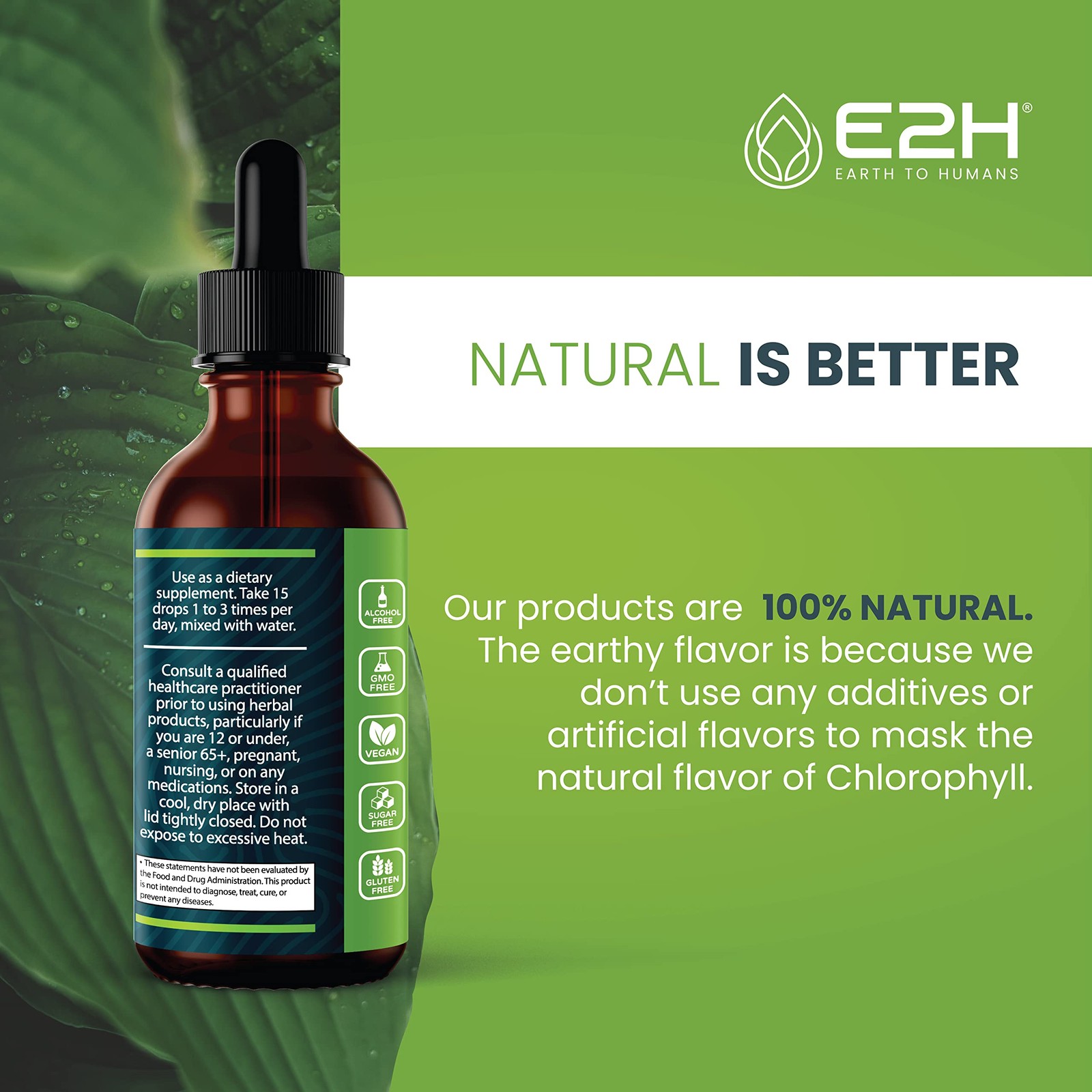 E2H Chlorophyll Liquid Drops – Natural Energy, Immune Support, Digestion, Skin