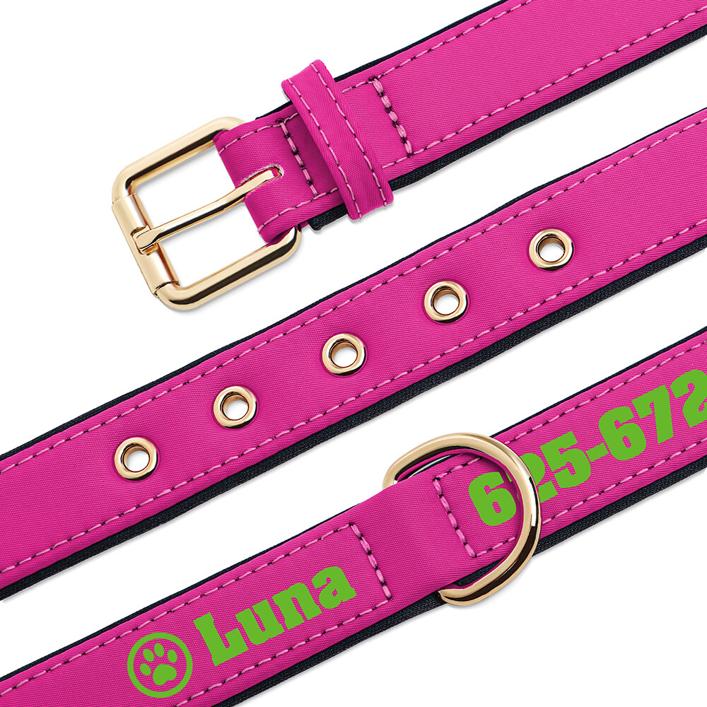 Personalized Nylon Dog Collar Custom Name Phone Print Soft Padded Adjustable S-L