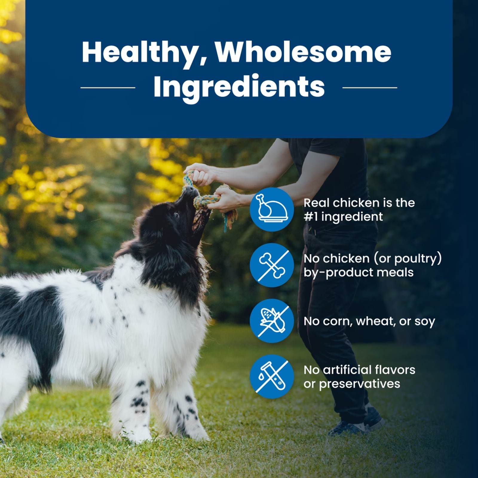 Blue Buffalo Life Protection Formula Chicken & Brown Rice Dog Food, 24-lb Bag
