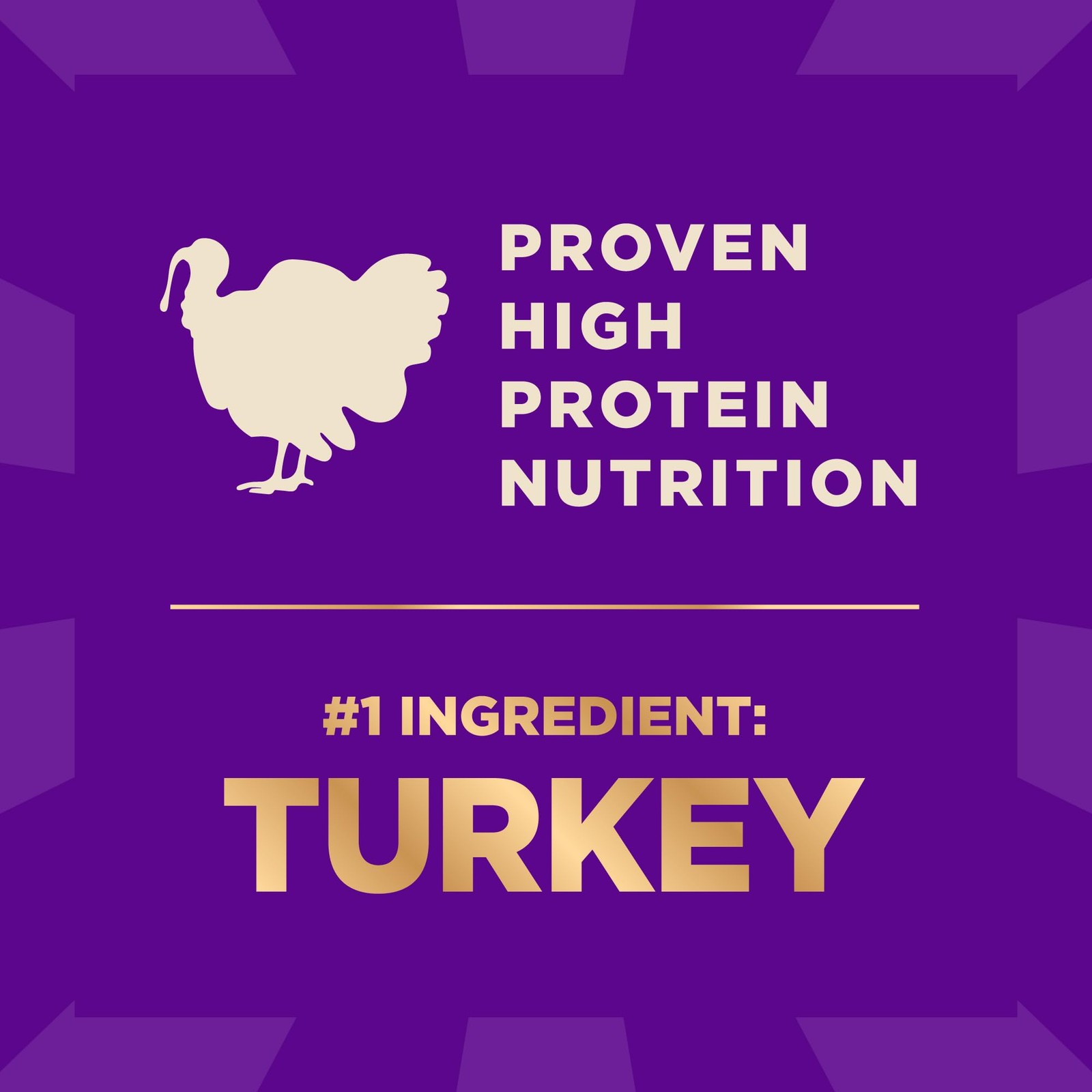 Wellness CORE+ Dry Dog Food with Freeze Dried 4 Pound (Pack of 1), Turkey