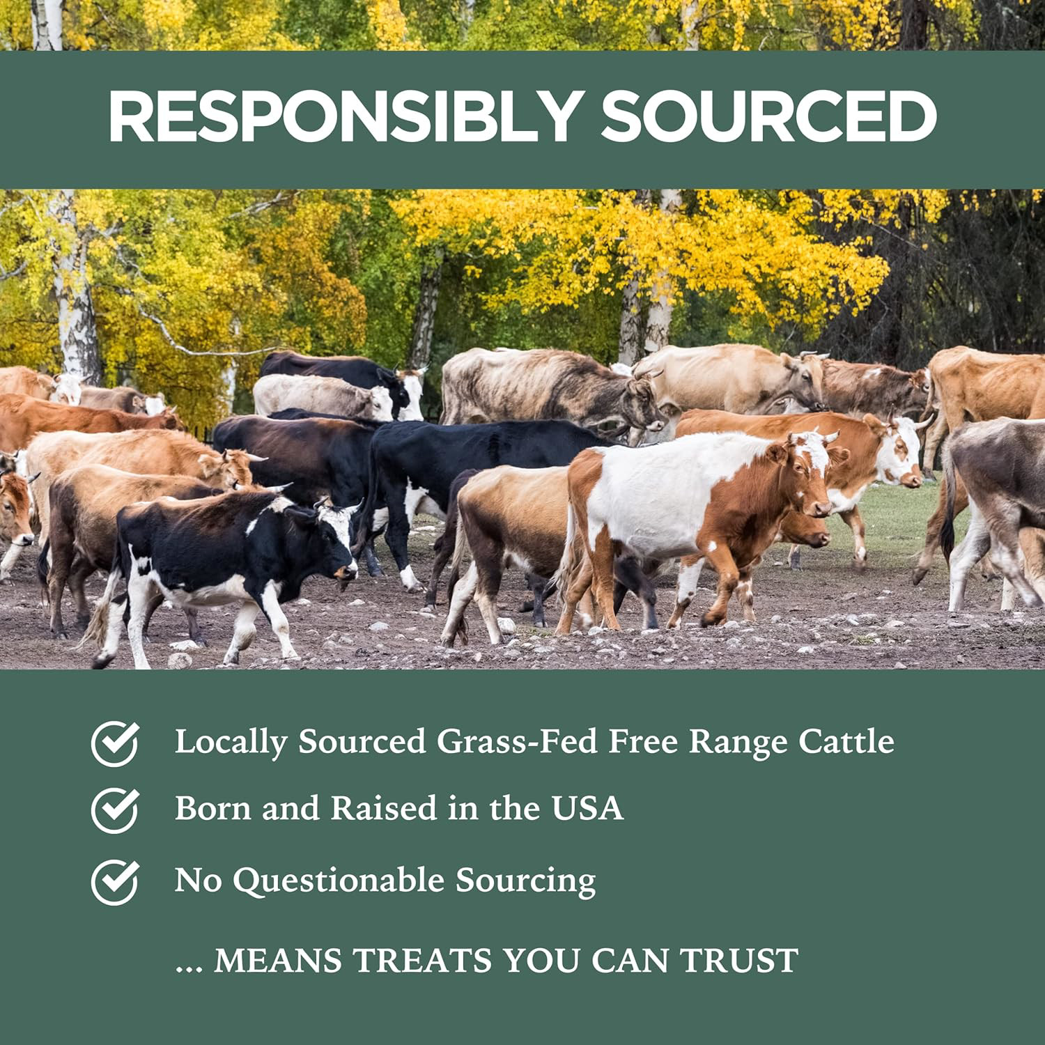 K9 Connoisseur Low to Odor Free Slow Roasted Beef Lung Dog Treats Made in USA, &