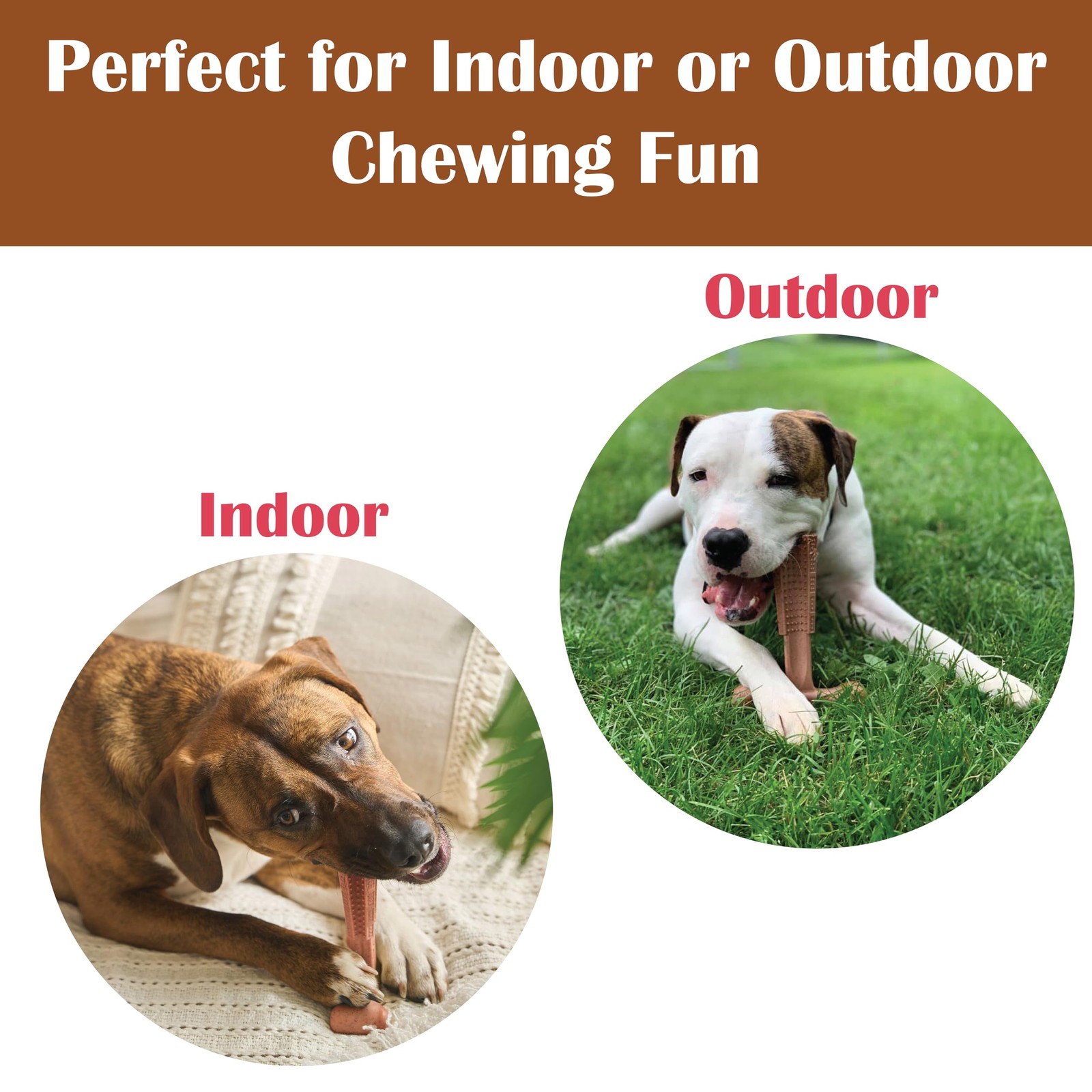 Durable T Bone Chew Toy For Aggressive Chewers Promotes Dental Health 7X5 Inch