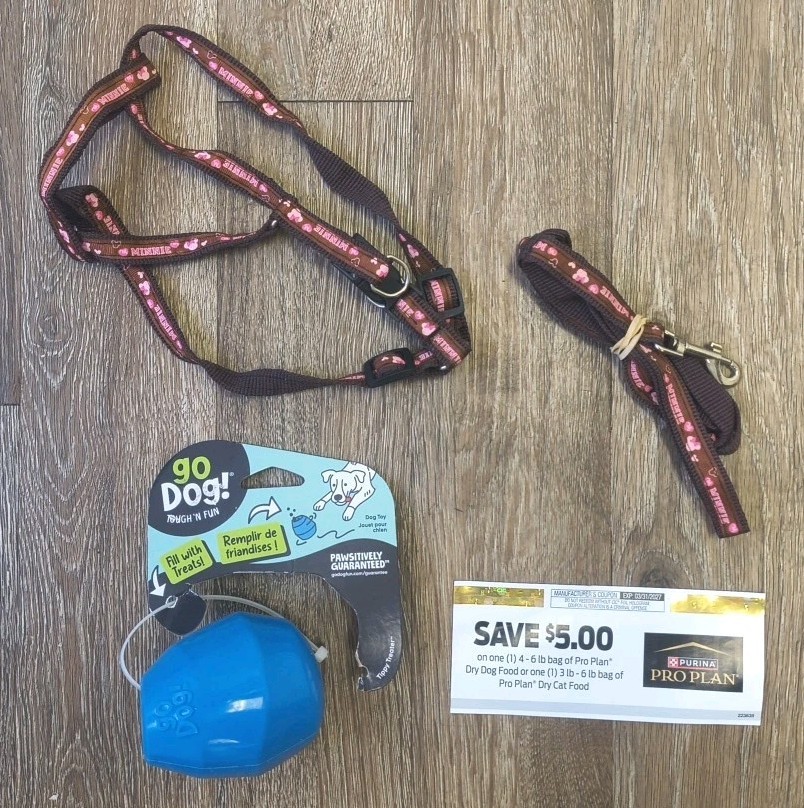 goDog Magic Motion Tippy Treater Toy Minnie Mouse Leash And Harness With Bonus