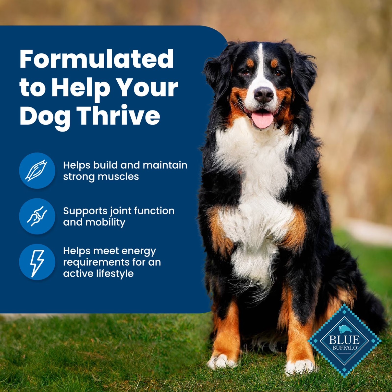 Blue Buffalo Life Protection Formula Adult Dry Dog Food,Chicken &Brown Rice,15lb