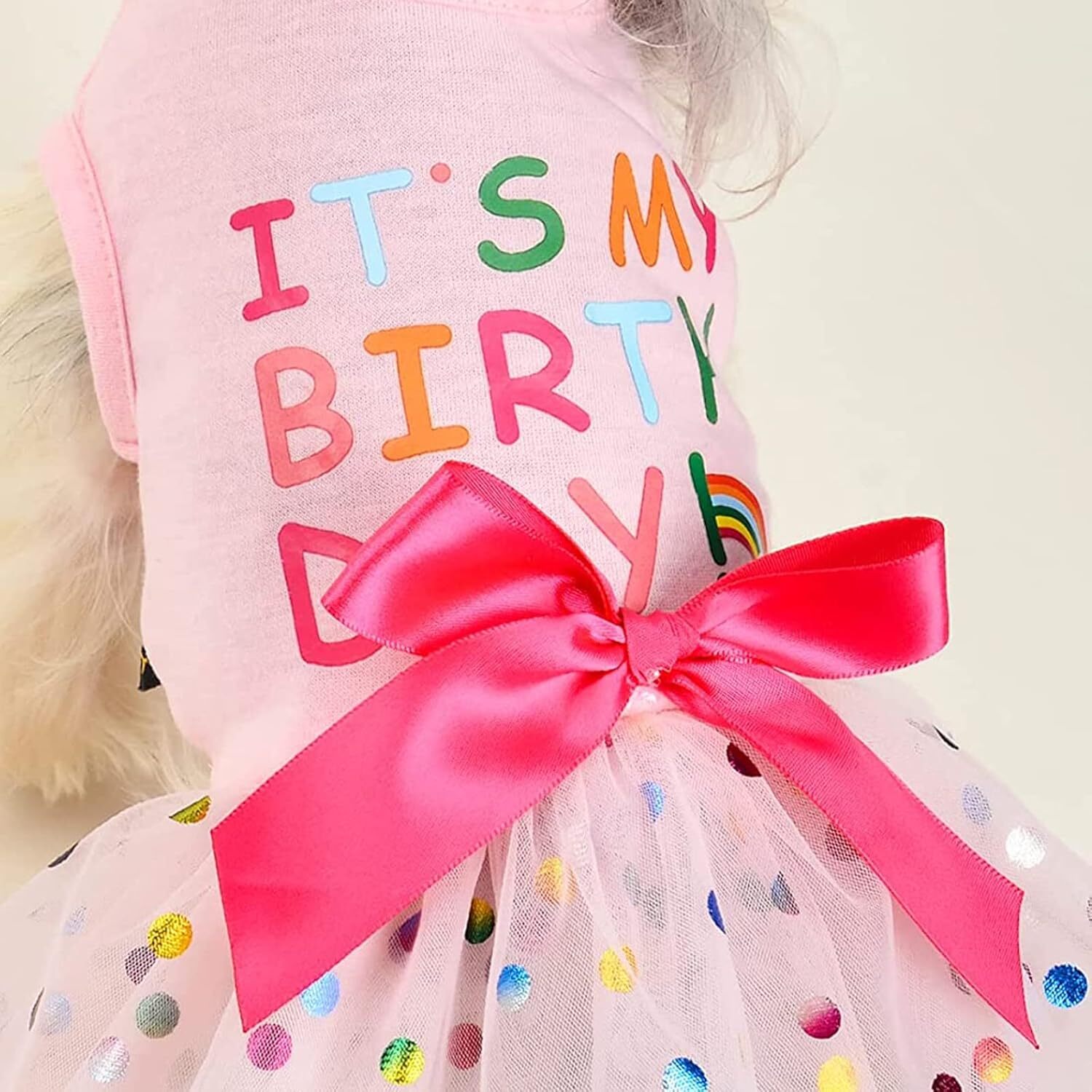 Dog Tulle Dot Skirt Cute Princess Puppy Clothes for Girl Birthday YYPC22092398PK