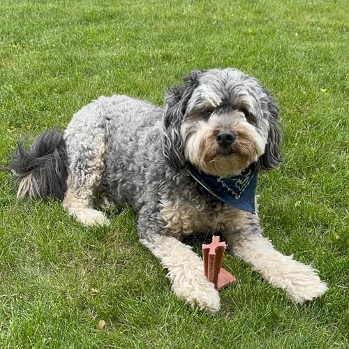 Durable T Bone Chew Toy For Aggressive Chewers Promotes Dental Health 7X5 Inch